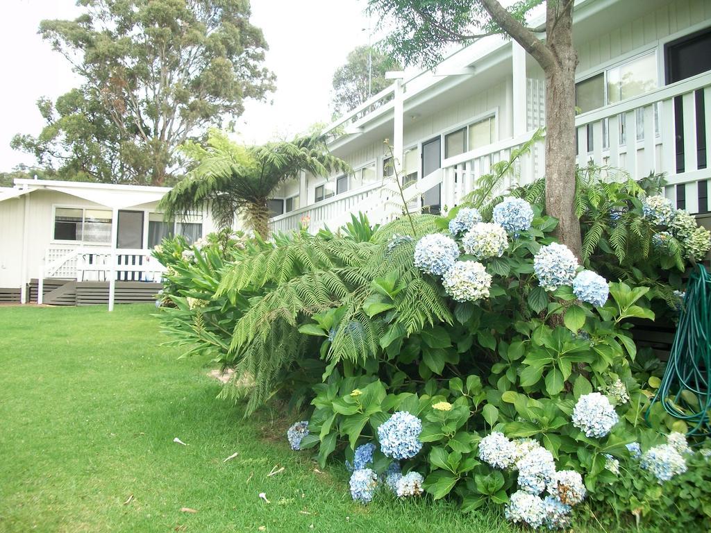 Top Of The Lake Holiday Units Merimbula Bagian luar foto