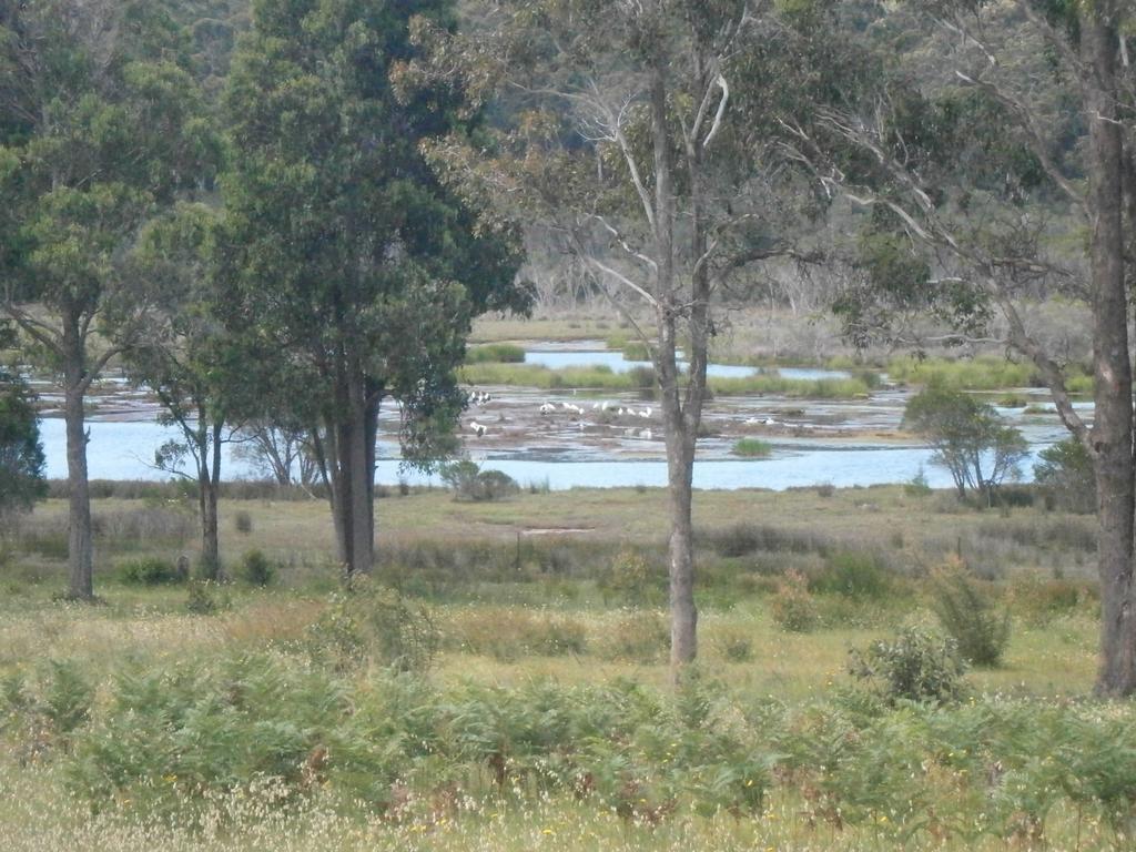 Top Of The Lake Holiday Units Merimbula Bagian luar foto